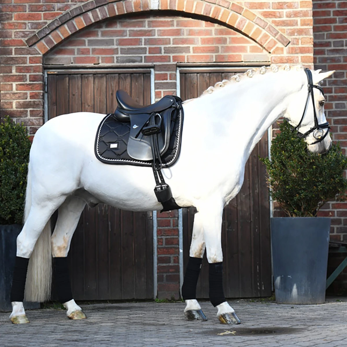 Bandages Equestrian Stockholm Black Edition Zwart 2 Bandages Equestrian Stockholm Black Edition Zwart - Afbeelding 2