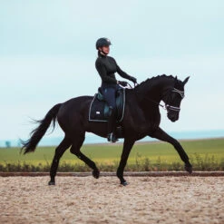 Bandages Equestrian Stockholm Black Edition Zwart 5 Bandages Equestrian Stockholm Black Edition Zwart -Paard Verzorging bandages equestrian stockholm black edition zwart 1500x1500 147626