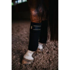 Bandages Equestrian Stockholm Black Gold Zwart-goud 11 Bandages Equestrian Stockholm Black Gold Zwart-goud -Paard Verzorging bandages equestrian stockholm black gold zwart goud 1500x1500 181350