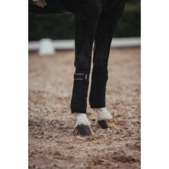 Bandages Equestrian Stockholm Black Gold Zwart-goud 12 Bandages Equestrian Stockholm Black Gold Zwart-goud -Paard Verzorging bandages equestrian stockholm black gold zwart goud 1500x1500 181351