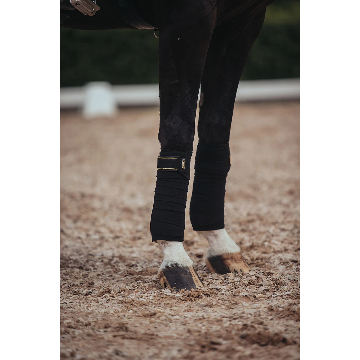 Bandages Equestrian Stockholm Black Gold Zwart-goud 6 Bandages Equestrian Stockholm Black Gold Zwart-goud - Afbeelding 6