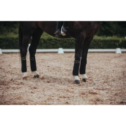 Bandages Equestrian Stockholm Black Gold Zwart-goud 13 Bandages Equestrian Stockholm Black Gold Zwart-goud -Paard Verzorging bandages equestrian stockholm black gold zwart goud 1500x1500 181352