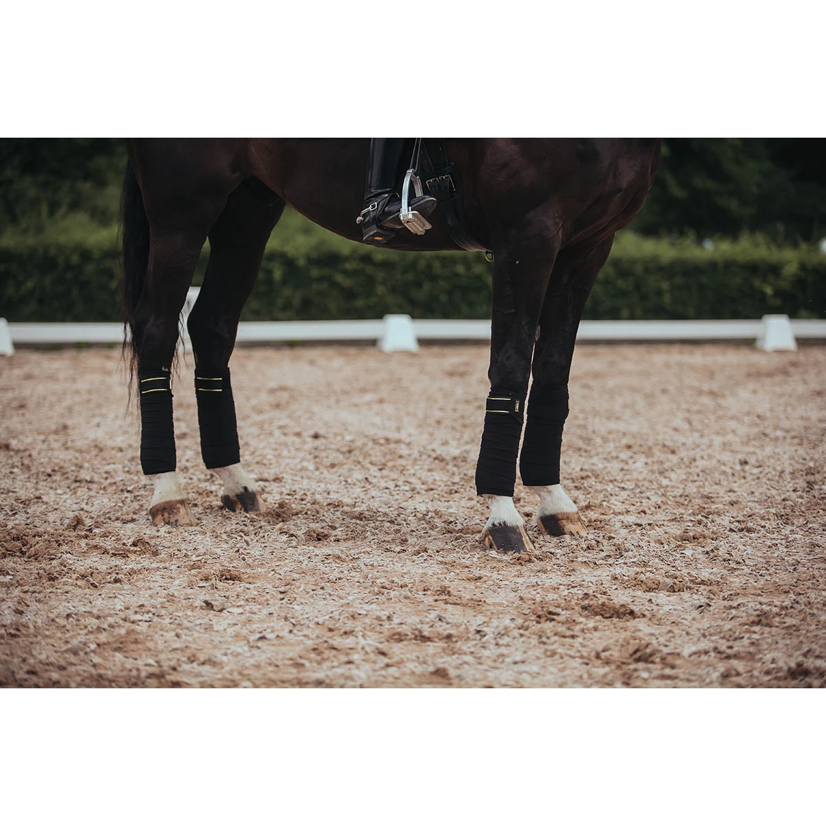 Bandages Equestrian Stockholm Black Gold Zwart-goud 7 Bandages Equestrian Stockholm Black Gold Zwart-goud - Afbeelding 7
