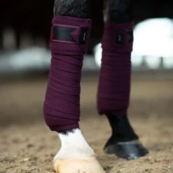 Bandages Equestrian Stockholm Fleece Black Raven Paars -Paard Verzorging bandages equestrian stockholm fleece black raven paars 1500x1500 179388