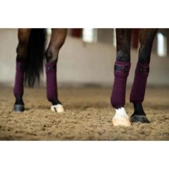 Bandages Equestrian Stockholm Fleece Black Raven Paars -Paard Verzorging bandages equestrian stockholm fleece black raven paars 1500x1500 179389