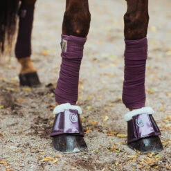 Bandages Equestrian Stockholm Orchid Bloom Paars -Paard Verzorging bandages equestrian stockholm orchid bloom paars 1500x1500 147468