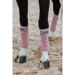 Bandages Equestrian Stockholm Pink Crystal Roze 12 Bandages Equestrian Stockholm Pink Crystal Roze -Paard Verzorging bandages equestrian stockholm pink crystal roze 1500x1500 150080