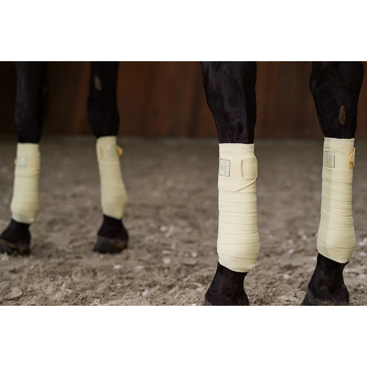 Bandages Eskadron Platinum Pure Mesh Lichtgeel 4 Bandages Eskadron Platinum Pure Mesh Lichtgeel - Afbeelding 4