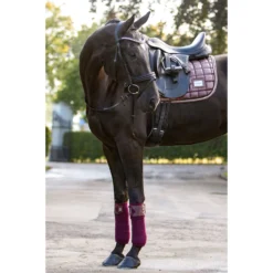 Bandages HB Showtime Lake View Donkerrood -Paard Verzorging bandages hb showtime lake view donkerrood 1500x1500 129399