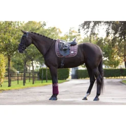 Bandages HB Showtime Lake View Donkerrood -Paard Verzorging bandages hb showtime lake view donkerrood 1500x1500 129400