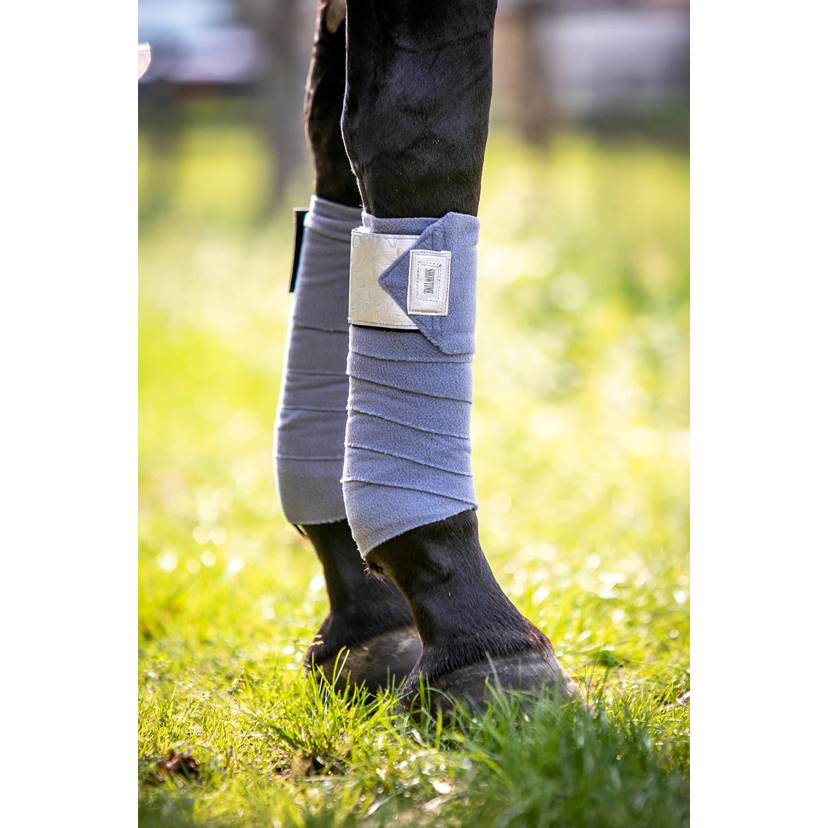 Bandages HB Showtime Lake View Zilver 2 Bandages HB Showtime Lake View Zilver - Afbeelding 2