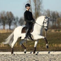 Bandages Horsegear Ruches 4-pack Donkerbruin -Paard Verzorging bandages horsegear ruches 4 pack donkerbruin 1500x1500 143301