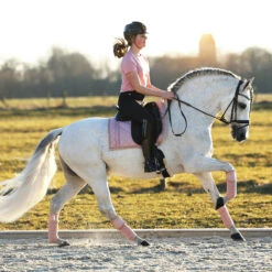 Bandages Horsegear Ruches 4-pack Roze -Paard Verzorging bandages horsegear ruches 4 pack roze 1500x1500 143287