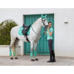 Bandages LeMieux Polo Lichtgroen -Paard Verzorging bandages lemieux polo lichtgroen 1500x1500 153177