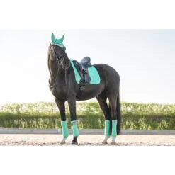 Bandages LeMieux Polo Lichtgroen -Paard Verzorging bandages lemieux polo lichtgroen 1500x1500 153178