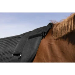 Barebackpad Equithème Norton Zwart -Paard Verzorging barebackpad equitheme norton zwart 1500x1500 150047