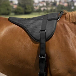 Barebackpad Equithème Norton Zwart -Paard Verzorging barebackpad equitheme norton zwart 1500x1500 150048