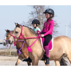 Barebackpad QHP Donkerroze -Paard Verzorging barebackpad qhp donkerroze 1500x1500 120595