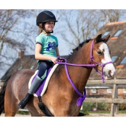 Barebackpad QHP Paars -Paard Verzorging barebackpad qhp paars 1500x1500 120598