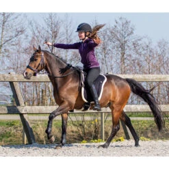 Barebackpad QHP Zwart 8 Barebackpad QHP Zwart -Paard Verzorging barebackpad qhp zwart 1500x1500 120591