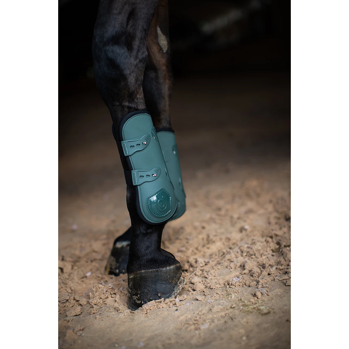 Beenbeschermers Equestrian Stockholm Anatomic Sycamore Green Groen 2 Beenbeschermers Equestrian Stockholm Anatomic Sycamore Green Groen - Afbeelding 2