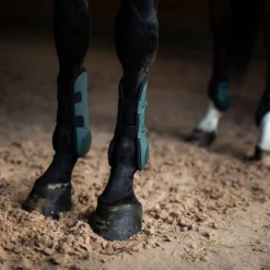 Beenbeschermers Equestrian Stockholm Anatomic Sycamore Green Groen 8 Beenbeschermers Equestrian Stockholm Anatomic Sycamore Green Groen -Paard Verzorging beenbeschermers equestrian stockholm anatomic sycamore green groen 1500x1500 173990