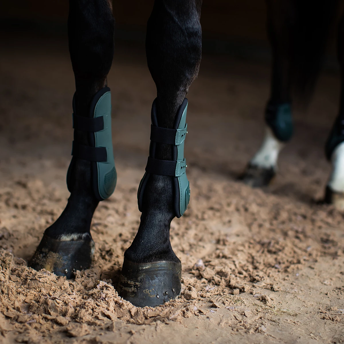 Beenbeschermers Equestrian Stockholm Anatomic Sycamore Green Groen 4 Beenbeschermers Equestrian Stockholm Anatomic Sycamore Green Groen - Afbeelding 4