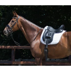 Dressuursingel QHP Anatomical Zwart -Paard Verzorging dressuursingel qhp anatomical zwart 1500x1500 117370