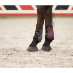 Kogelbeschermers QHP Champion Donkerrood -Paard Verzorging kogelbeschermers qhp champion donkerrood 1500x1500 124233