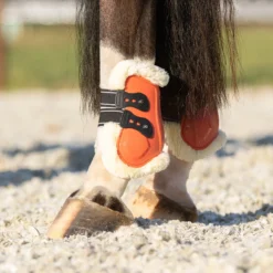 Kogelbeschermers QHP Menton Oranje -Paard Verzorging kogelbeschermers qhp menton oranje 1500x1500 186878