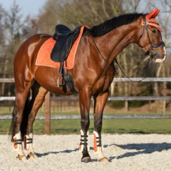 Kogelbeschermers QHP Menton Oranje -Paard Verzorging kogelbeschermers qhp menton oranje 1500x1500 186879