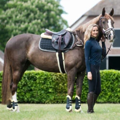 Kogelbeschermers QHP Ontario Zwart -Paard Verzorging kogelbeschermers qhp ontario zwart 1500x1500 155894