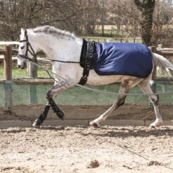 Longeerdeken Busse Rain Donkerblauw 6 Longeerdeken Busse Rain Donkerblauw -Paard Verzorging longeerdeken busse rain donkerblauw 1500x1500 134397