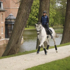 Onderbandages Kentucky Absorb Donkerblauw 5 Onderbandages Kentucky Absorb Donkerblauw -Paard Verzorging onderbandages kentucky absorb donkerblauw 1500x1500 137459