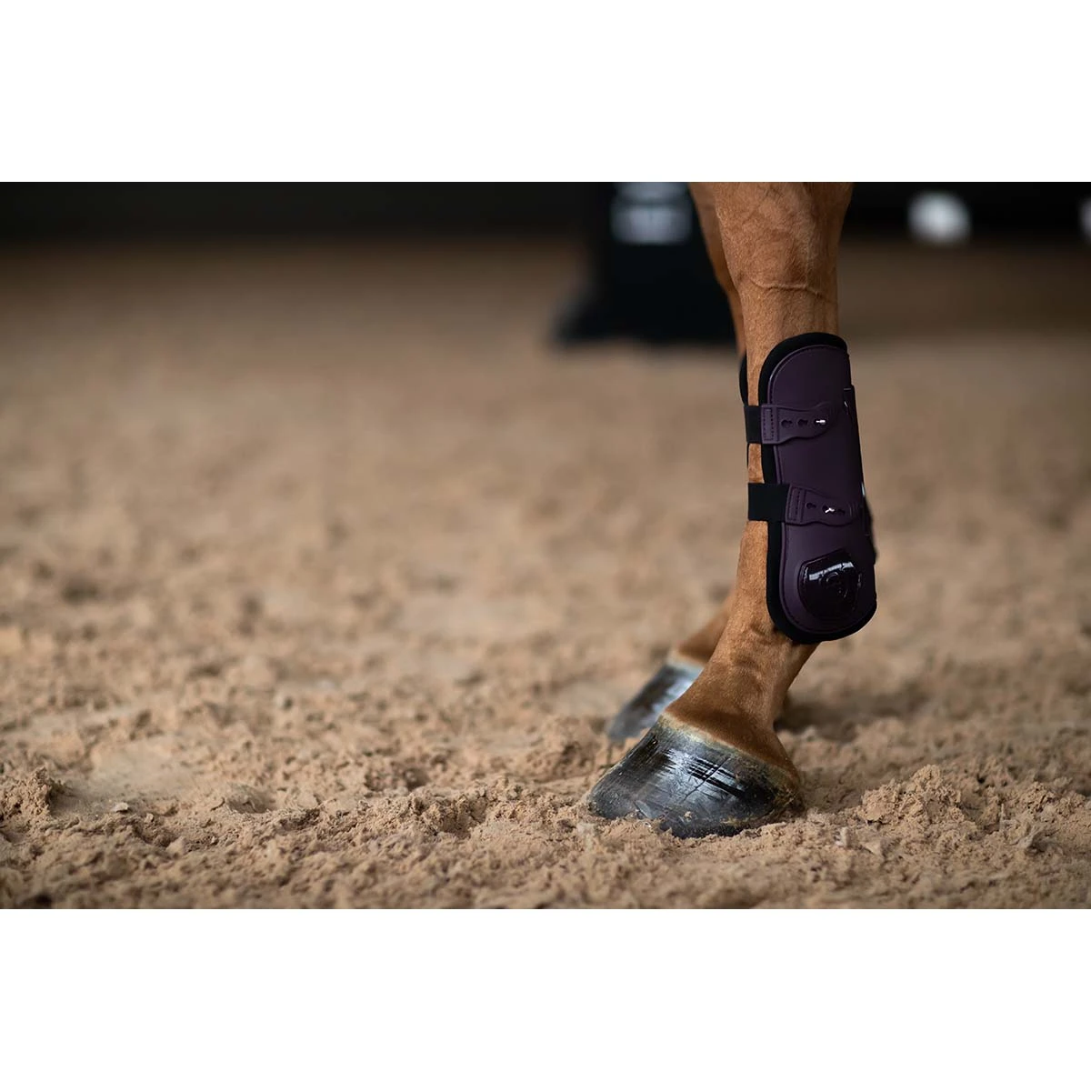 Peesbeschermers Equestrian Stockholm Black Raven Paars 3 Peesbeschermers Equestrian Stockholm Black Raven Paars - Afbeelding 3