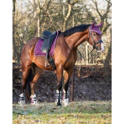Peesbeschermers QHP Menton Paars -Paard Verzorging peesbeschermers qhp menton paars 1500x1500 186862