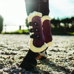 Peesbeschermers QHP Ontario Donkerrood 6 Peesbeschermers QHP Ontario Donkerrood -Paard Verzorging peesbeschermers qhp ontario donkerrood 1500x1500 120610