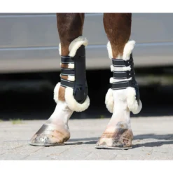 Peesbeschermers QHP Ontario Zwart -Paard Verzorging peesbeschermers qhp ontario zwart 1500x1500 120607