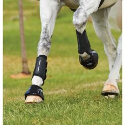 Peesbeschermers WeatherBeeta Eventing Front Zwart -Paard Verzorging peesbeschermers weatherbeeta eventing front zwart 1500x1500 137246