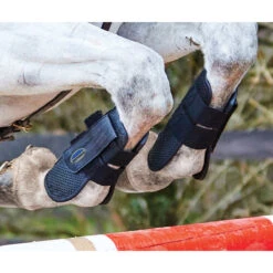 Peesbeschermers WeatherBeeta Lite Zwart -Paard Verzorging peesbeschermers weatherbeeta lite zwart 1500x1500 135136