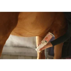 Ravene Easy Shine Intense Spray Recharge Overige -Paard Verzorging ravene easy shine intense spray recharge overige 1500x1500 180710