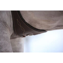 Singel Kentucky Anatomisch Bruin -Paard Verzorging singel kentucky anatomisch bruin 1500x1500 137513