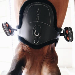 Singel Kentucky Sheepskin Met Buikflap Zwart -Paard Verzorging singel kentucky sheepskin met buikflap zwart 1500x1500 137502