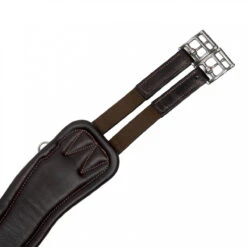 Singel LeMieux Anatomix Gel-Tex Met Buikflap Bruin -Paard Verzorging singel lemieux anatomix gel tex met buikflap bruin 1500x1500 145972