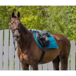 Singel QHP Anatomical Zwart -Paard Verzorging singel qhp anatomical zwart 1500x1500 117366