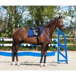 Singel QHP Anatomical Zwart -Paard Verzorging singel qhp anatomical zwart 1500x1500 117367