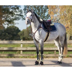 Singel QHP Ontario Bruin -Paard Verzorging singel qhp ontario bruin 1500x1500 120572