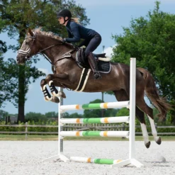 Singel QHP Ontario Bruin -Paard Verzorging singel qhp ontario bruin 1500x1500 155891