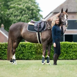 Singel QHP Ontario Zwart -Paard Verzorging singel qhp ontario zwart 1500x1500 120568