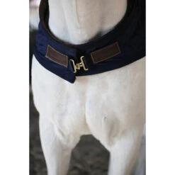 Stapmolendeken Kentucky 160gr Donkerblauw -Paard Verzorging stapmolendeken kentucky 160gr donkerblauw 1500x1500 139835